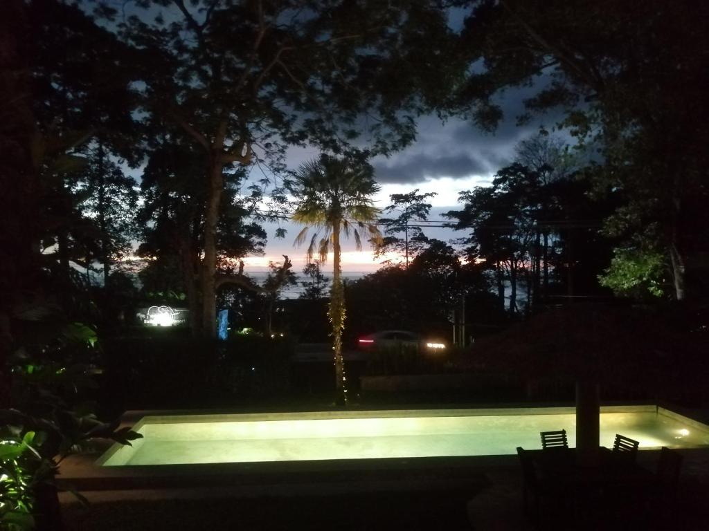 night view
