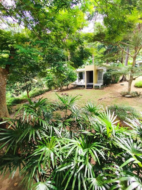 Bungalows